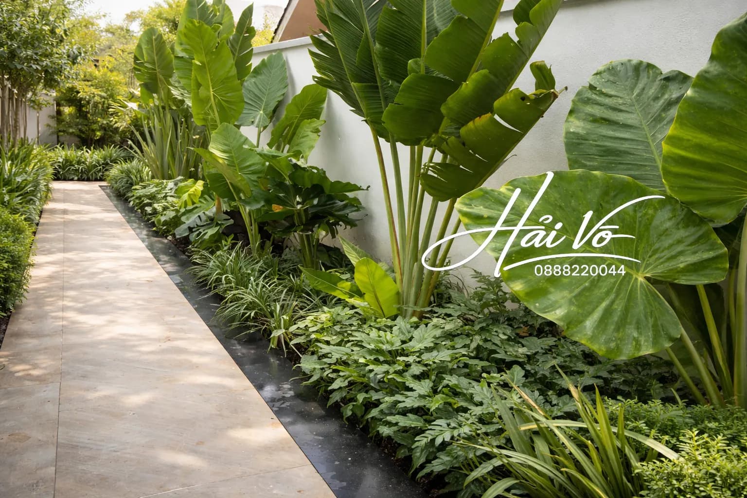 Hồ koi vườn nhiệt đới 18