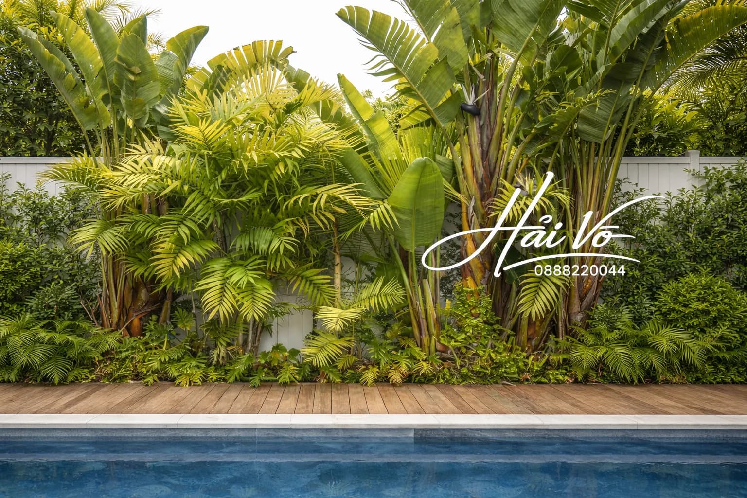 Hồ koi vườn nhiệt đới 20